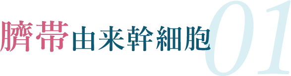 臍帯由来幹細胞