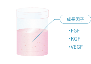 成長因子 ・FGF・KGF・VEGF