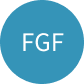 FGF