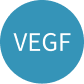 VEGF