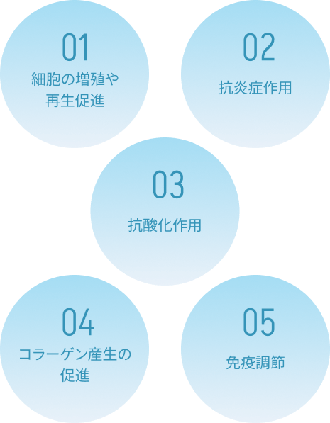 幹細胞培養上清液に期待される効果一覧