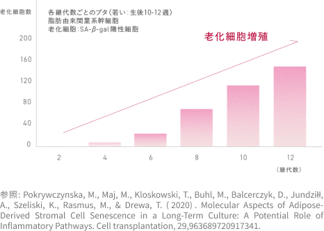 老化細胞増殖グラフ